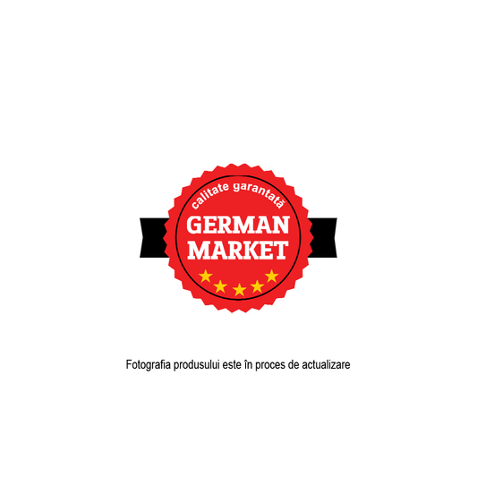 Absorbant de mirosuri pentru frigider Mister Magic 40g natural gel